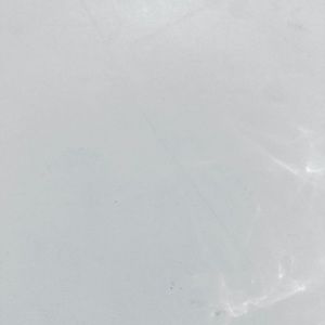 Meet your Posher, Shelly